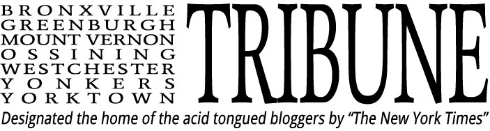 Michael Letts on Yonkers Tribune